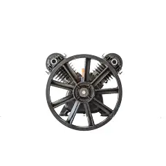 Gruppo pompante testata Sbaraglia 900 lt a V