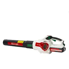 Sbaraglia Soffiatore Elia a batteria 36 V