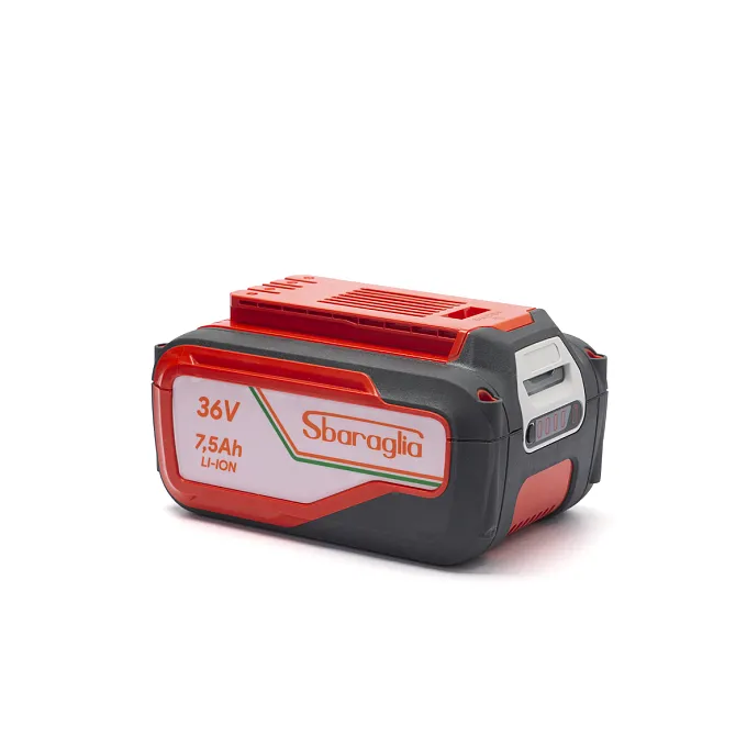 Sbaraglia Batteria 7.5 ampere 36 V ELIA